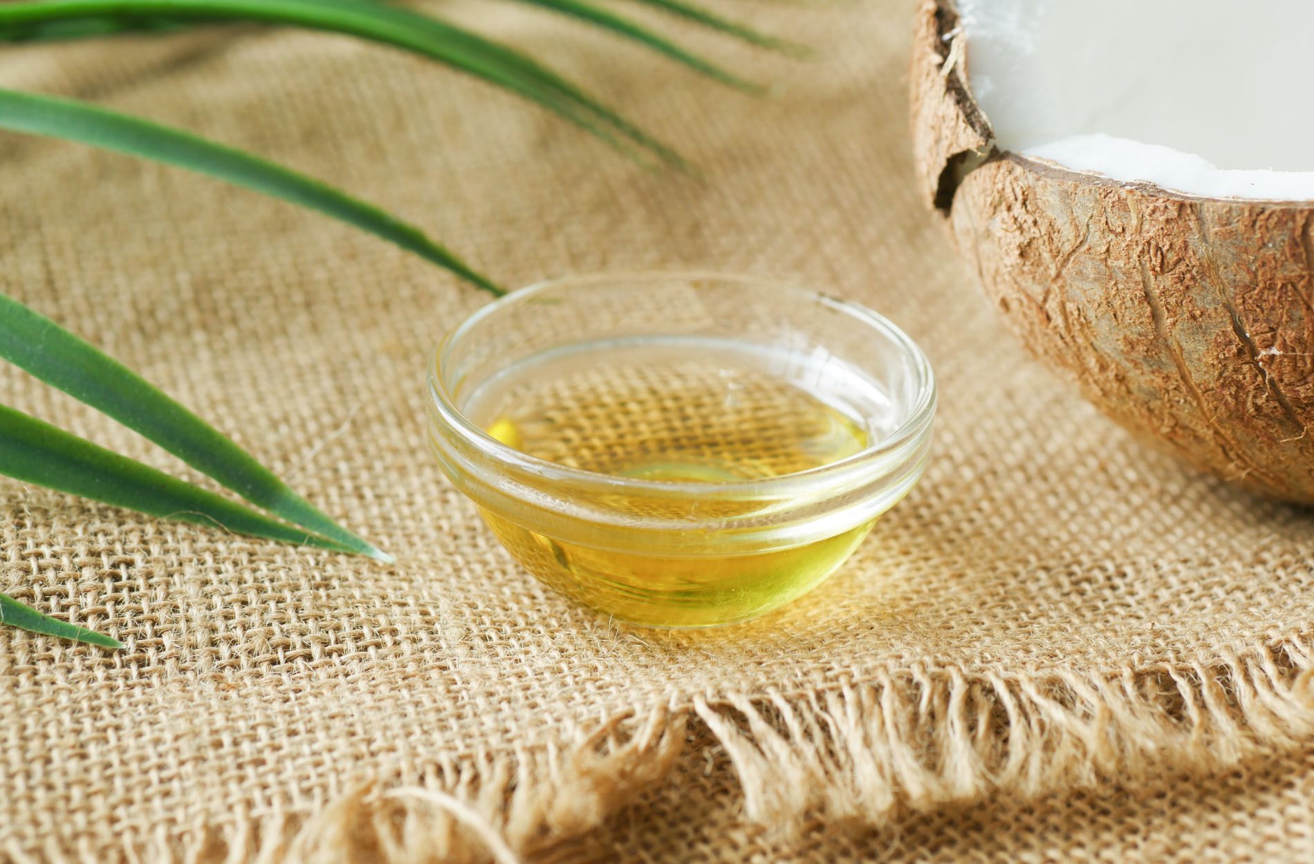 coconut oil